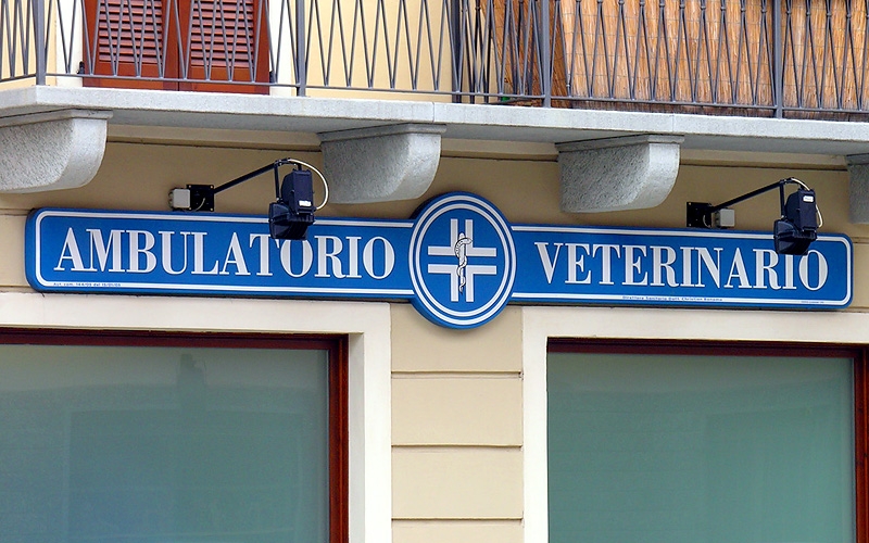 Grandi Insegne