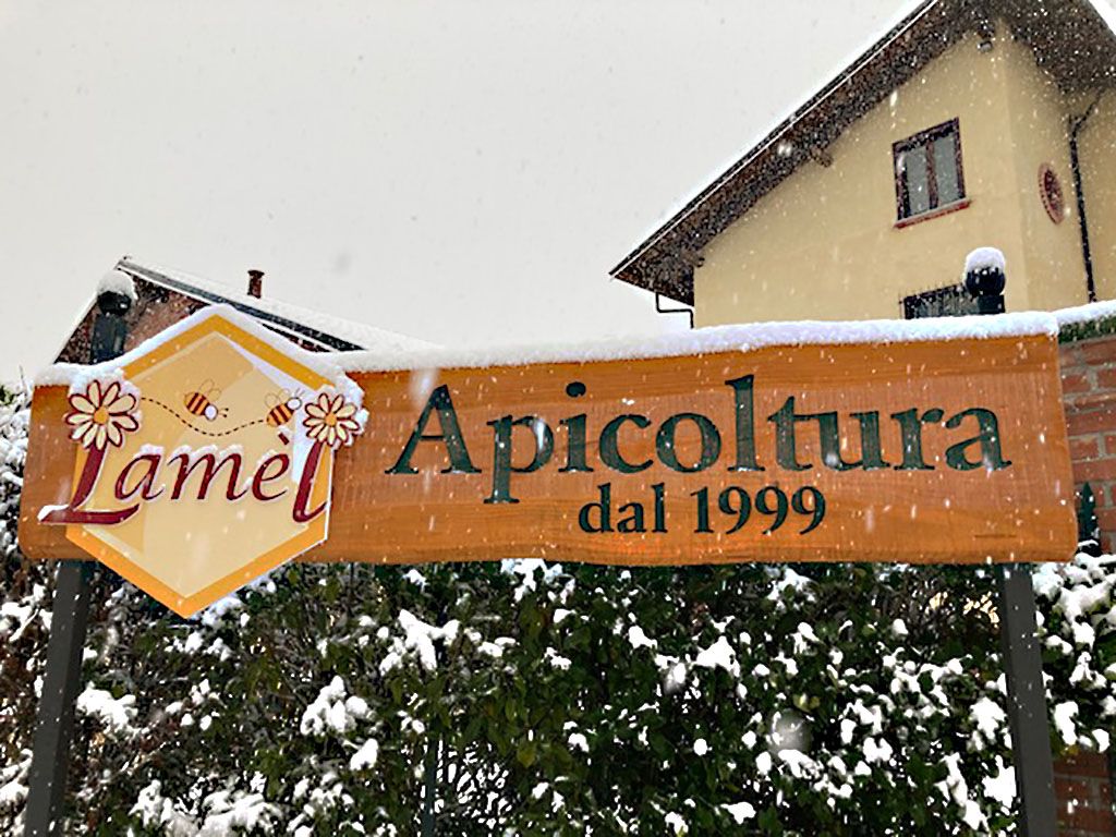 Insegne in Legno
