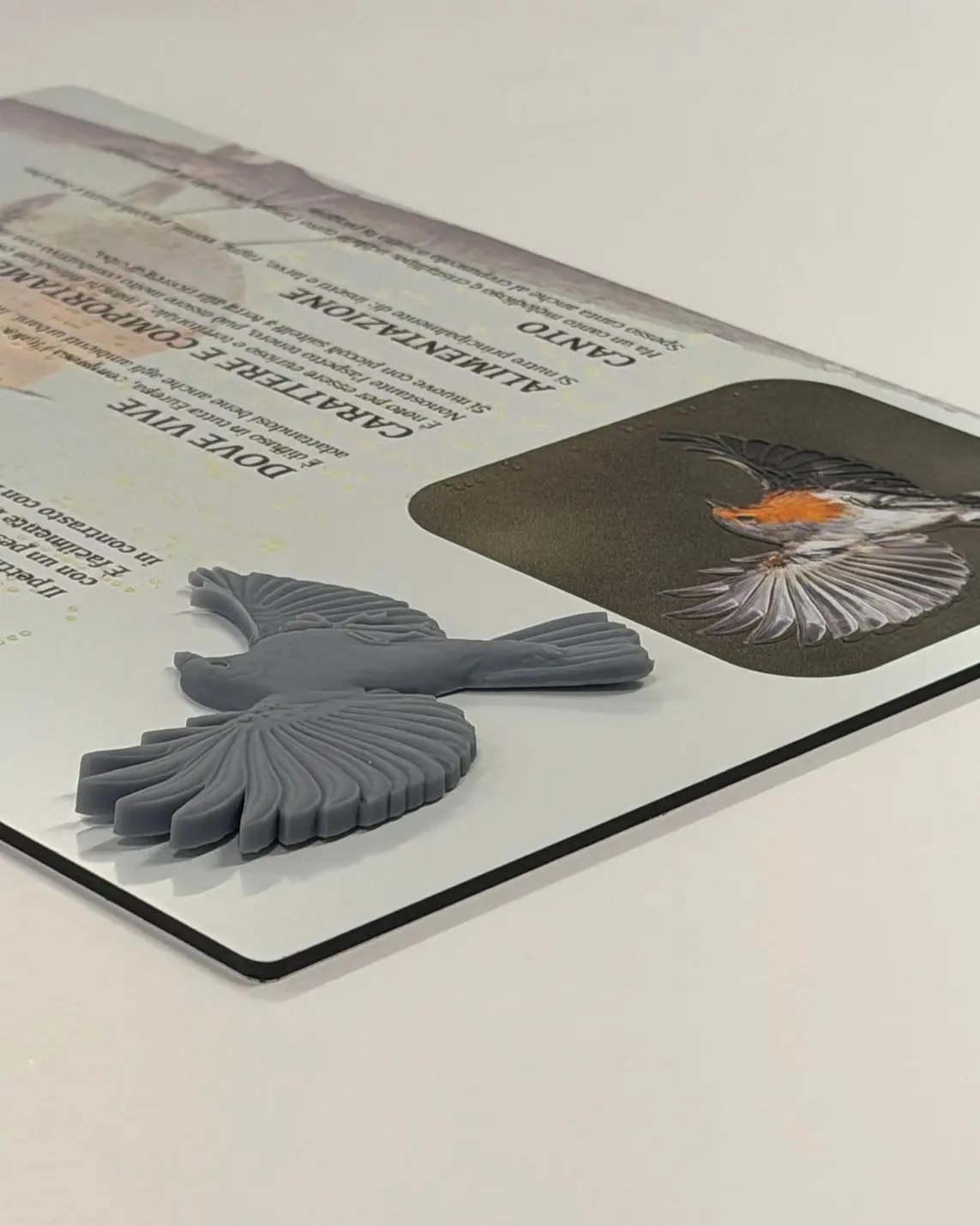 3D Tattile